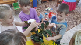 Труд в уголке природы